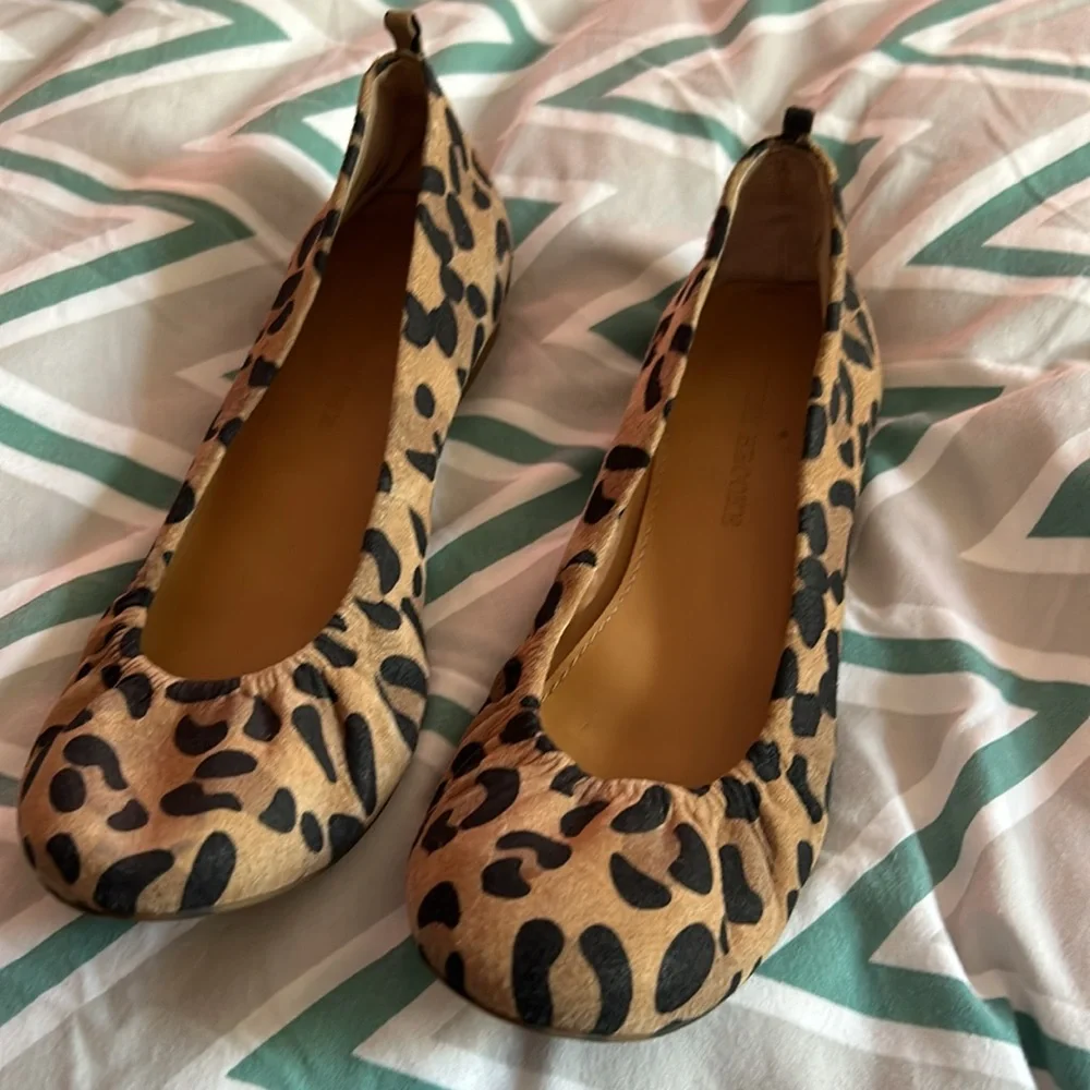 Leopard flats - Picture 1 of 6